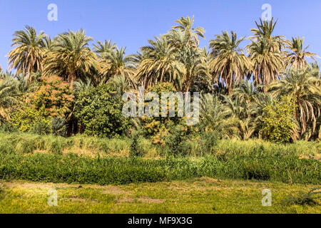 Landschaft im Sudan, in Zentralafrika Stockfoto