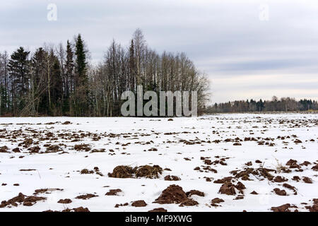 Feld mit der Schneeschmelze im Frühjahr gepflügt, in der Ferne ein Wäldchen und eine Herde von der Rückkehr der Vögel Stockfoto