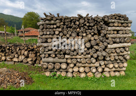 Arrangiert Stapel Baumstämme in Logs im bewölkten Tag, Bauholz Schnitt für Feuer bis auf grünem Gras Blocklagerung Stockfoto