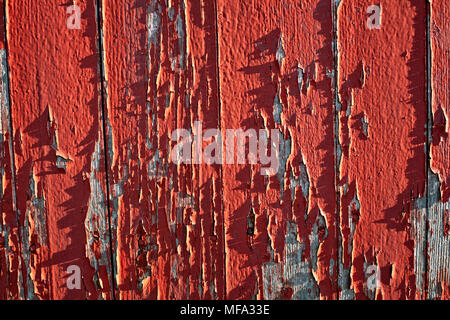 Das Leben eines alten Red Barn door Oberfläche mit abblätternder Farbe Stockfoto