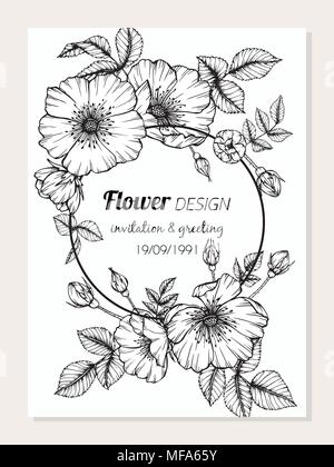 Dog Rose Blume Rahmen Illustration für Card Design. Stock Vektor