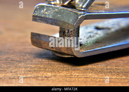 Nagelknipser Stockfoto