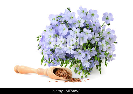 Saatgut von Flachs und Blumen auf weißem Hintergrund Stockfoto