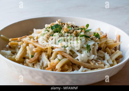 Türkische Nudel/Eriste mit Käse, Walnüsse und Petersilie. Traditionelle Speisen. Stockfoto