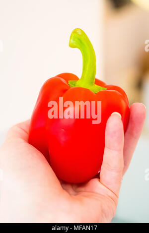 Paprika in einer Hand Stockfoto