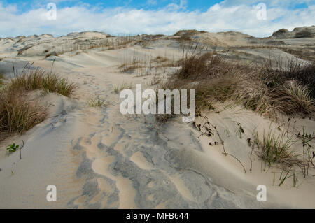 Sanddünen Fußweg: Windblown Sand füllt die Spuren der Wanderer auf einem Pfad durch die Dünen am Cape Hatteras National Seashore. Stockfoto