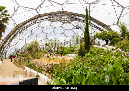 Das Eden Projekt Mediterrane biome eine beliebte Sehenswürdigkeit in einem ehemaligen Steinbruch mit tropischen Gärten in riesigen Kuppeln in 2001 eröffnet untergebracht war Stockfoto