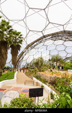 Das Eden Projekt Mediterrane biome eine beliebte Sehenswürdigkeit in einem ehemaligen Steinbruch mit tropischen Gärten in riesigen Kuppeln in 2001 eröffnet untergebracht war Stockfoto