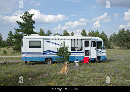 Ein Golden Retriever Hund sitzt vor seinem Wohnmobil - eine Klasse ein Reisemobil. Stockfoto