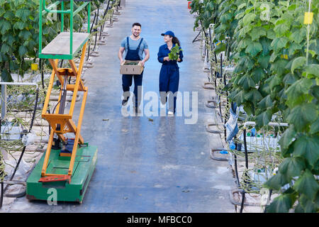 Zwei fröhliche Arbeiter im Gewächshaus Stockfoto
