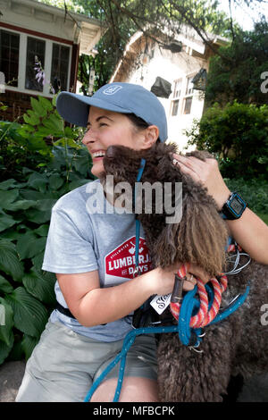 Frau, liebkoste durch ihr Haustier labradoodle enrage Hund während einer Pause auf einem Viertel entfernt. St. Paul Minnesota MN USA Stockfoto