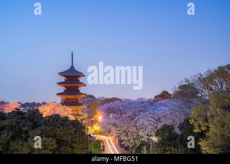 Fünf stöckige Pagode, in der Dämmerung, während Sakura Saison, Ikegami Honmonji Tempel, Ota-Ku, Tokio, Japan Stockfoto