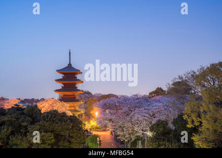 Fünf stöckige Pagode, in der Dämmerung, während Sakura Saison, Ikegami Honmonji Tempel, Ota-Ku, Tokio, Japan Stockfoto