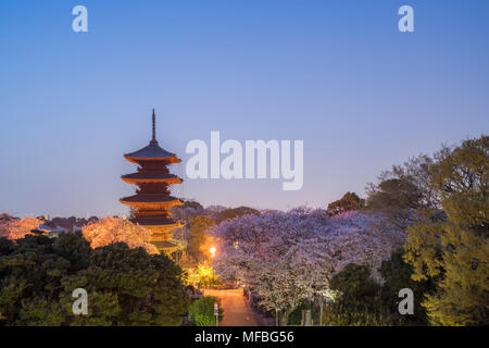 Fünf stöckige Pagode, in der Dämmerung, während Sakura Saison, Ikegami Honmonji Tempel, Ota-Ku, Tokio, Japan Stockfoto