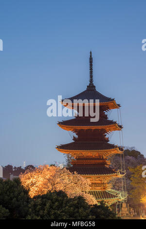 Fünf stöckige Pagode, in der Dämmerung, während Sakura Saison, Ikegami Honmonji Tempel, Ota-Ku, Tokio, Japan Stockfoto