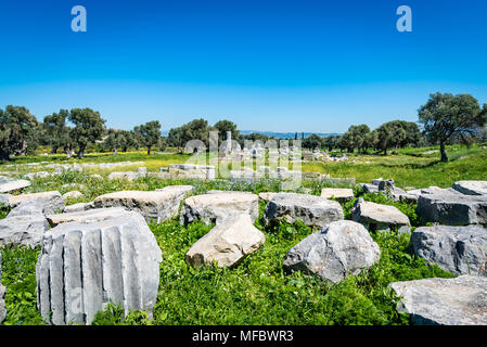 Die Ruinen der antiken Stadt Teos, Seferihisar, Izmir, Türkei Stockfoto