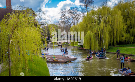 Cambridge, Großbritannien - 17 April 2016: Menschen stochern auf dem Fluss Cam, genießen Sie ein wundervolles Wochenende Stockfoto
