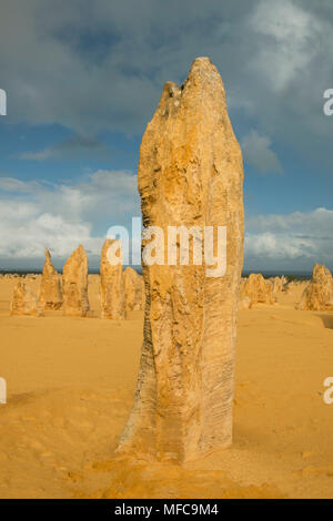 Sonnenaufgang auf der Pinnacles, Nambung Nationalpark, Western Australia Stockfoto