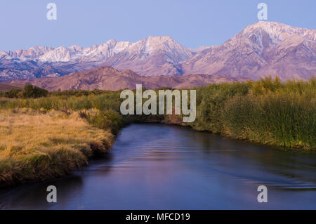 Östlichen SIERRAS und Owens River, von Owens Valley in der Nähe von Bishop, Kalifornien Stockfoto
