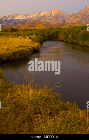 Östlichen SIERRAS und Owens River, von Owens Valley in der Nähe von Bishop, Kalifornien Stockfoto