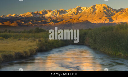 Östlichen SIERRAS und Owens River, von Owens Valley in der Nähe von Bishop, Kalifornien Stockfoto