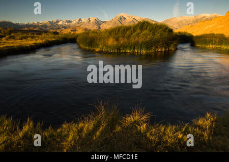 Östlichen SIERRAS und Owens River, von Owens Valley in der Nähe von Bishop, Kalifornien Stockfoto