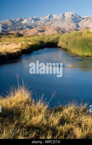Östlichen SIERRAS und Owens River, von Owens Valley in der Nähe von Bishop, Kalifornien Stockfoto