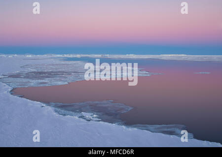 Antarktis: Dämmerung Himmel und tabellarische Eisberg in der Erebus und Terror Golf und zeigt den Gürtel der Venus (der Erde Schatten auf die Atmosphäre). Stockfoto