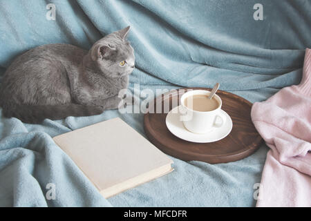 Still life Details im Interieur der Wohnzimmer. Schwarze Katze entspannt auf Pullover. Tasse Tee auf einem serviertablett am Kaffeetisch. Frühstück über Sofa ich Stockfoto