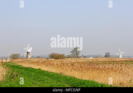Eine Landschaft mit zwei Windmühlen am Fluss Thurne auf der Norfolk Broads an Thurne, Norfolk, England, Vereinigtes Königreich, Europa. Stockfoto