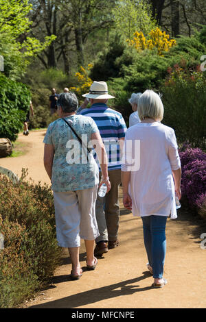 Die Menschen genießen eine der heißesten April tagen auf Aufzeichnung in die Isabella Plantation, Richmond Park, London, UK Stockfoto