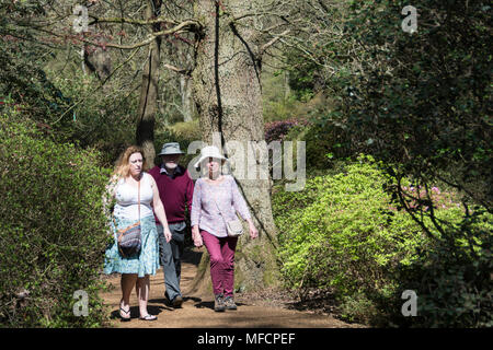 Eine Familie genießen Sie einen Tag in Richmond Park in South West London, Großbritannien Stockfoto