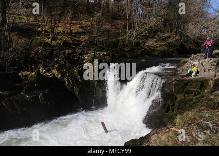 Elterwater cumbria Großbritannien Stockfoto