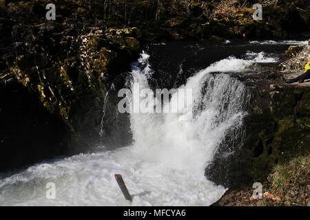 Elterwater cumbria Großbritannien Stockfoto