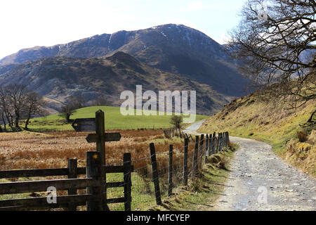 Elterwater cumbria Großbritannien Stockfoto