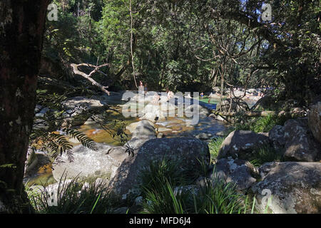 Josephine Falls eine klare Berg Oase fo Swimmingpool außen Cairns Queensland Australien verwendet Stockfoto