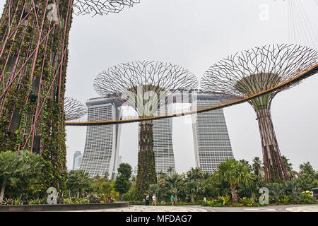 Die Nahaufnahme von niedrigen Winkel des Super Bäume in Gärten durch die Bucht mit einigen Personen, die in den Park, das Marina Bay Sands im Hintergrund Stockfoto