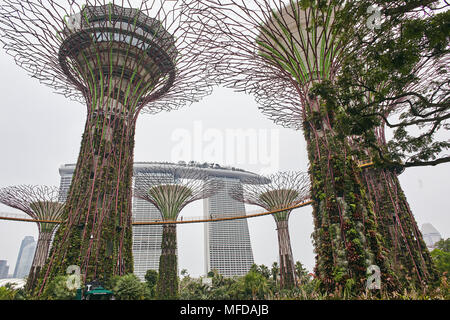 Die Nahaufnahme von niedrigen Winkel des Super Bäume in Gärten durch die Bucht mit einigen Personen, die in den Park, das Marina Bay Sands im Hintergrund Stockfoto