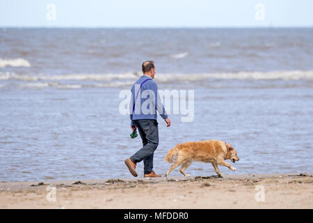 Kühlen windigen Wetter, Crosby, Merseyside. 25. April 2018. Einen kühlen und windigen Start in den Tag über den Nordwesten von England als Dog Walker Übungen seine geliebte Haustiere auf dem Sand Crosby Strand in Merseyside. Credit: cernan Elias/Alamy leben Nachrichten Stockfoto