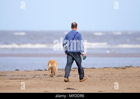 Kühlen windigen Wetter, Crosby, Merseyside. 25. April 2018. Einen kühlen und windigen Start in den Tag über den Nordwesten von England als Dog Walker Übungen seine geliebte Haustiere auf dem Sand Crosby Strand in Merseyside. Credit: cernan Elias/Alamy leben Nachrichten Stockfoto