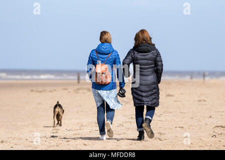 Kühlen windigen Wetter, Crosby, Merseyside. 25. April 2018. Einen kühlen und windigen Start in den Tag über den Nordwesten von England als Dog Walker Übungen ihre geliebten Haustiere auf dem Sand Crosby Strand in Merseyside. Credit: cernan Elias/Alamy leben Nachrichten Stockfoto