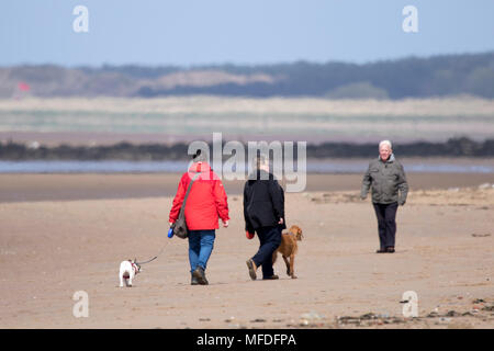 Crosby, Merseyside. 25. April 2018. Einen kühlen und windigen Start in den Tag über den Nordwesten von England als Dog Walker Übungen ihre geliebten Haustiere auf dem Sand Crosby Strand in Merseyside. Credit: cernan Elias/Alamy leben Nachrichten Stockfoto