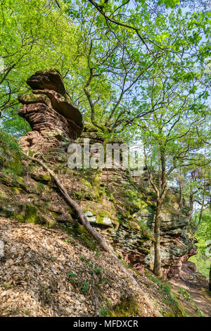 Sandsteinfelsen in den Pfälzer Wald. Deutschland Stockfoto