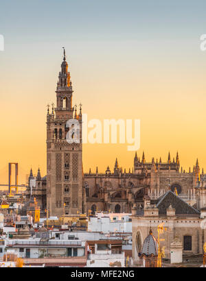 Blick auf La Giralda, Glockenturm der Kathedrale von Sevilla, Sonnenuntergang, Catedral de Santa Maria de la Sede, Sevilla, Andalusien Stockfoto