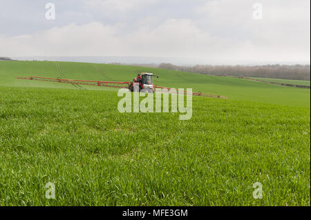 Erntegut Spritzen mit Düngemitteln, Insektiziden auf großen rollenden Feld mit Getreide im Frühling am Fuß der Norden dämmert Chalk land Traktor montiert Spray Stockfoto