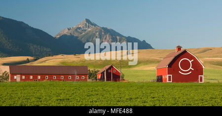 Hof und Scheune an der Basis der Wallowa Mountains, in der Nähe von Joseph, Oregon, mit Bewässerung Sprinkler. Stockfoto