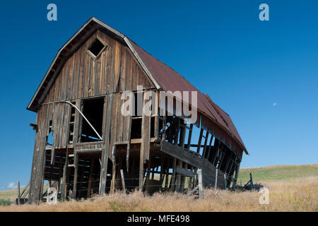 Alte Scheune auf Zumwalt Prairie, der größten verbleibenden bunchgrass Prairie im Pazifischen Nordwesten, in der Nähe von Joseph, Oregon. Stockfoto