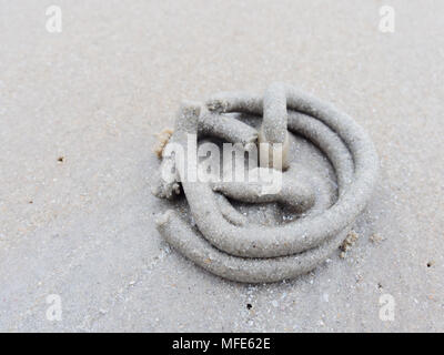 Abstrakte Form der Wirbel von Sand und Schlamm am Strand von Lug oder sand Worms mit Sediment Kugeln oder Pellet von Ghost oder Sand crab als Lebensmittel gegossen wurde mit dem Konzept der Natur Design und Kunst verdaut Stockfoto