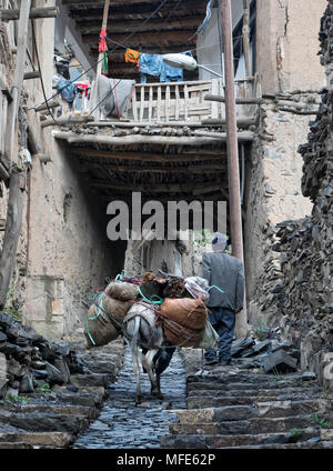 Kang, Iran - 30. Juli 2016: Alter Mann mit einem Esel an einem steilen schmalen Gasse von Kang, historischen trat Dorf Razavi Khorasan Provinz Stockfoto