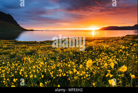 Den malerischen Sonnenuntergang über Landschaften und Wasserfällen. Kirkjufell Berg, Island Stockfoto